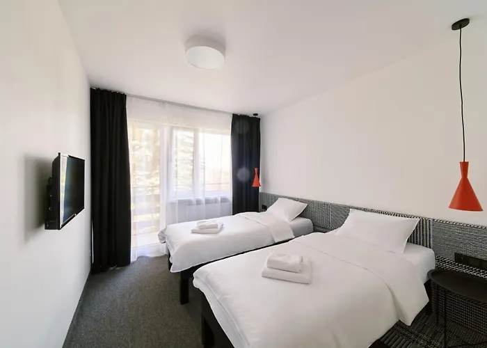 Zdroj Cegielski - Wyremontowane Rabka-Zdrój