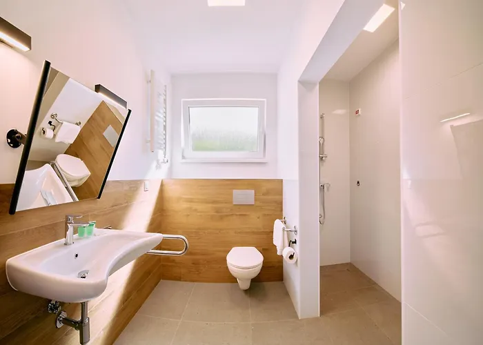 Zdroj Cegielski - Wyremontowane Resort 3*